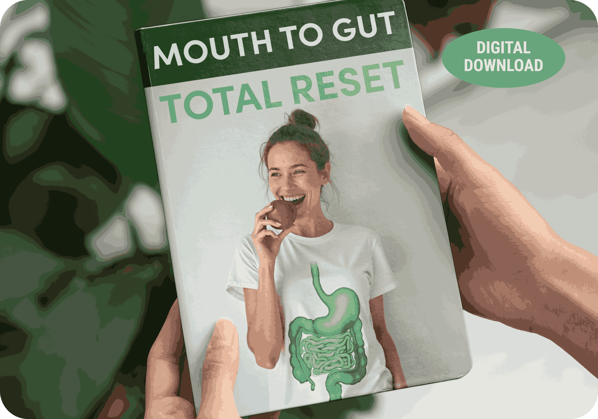 Oxydental Pro Bonus 3